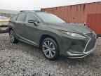 2021 LEXUS Rx