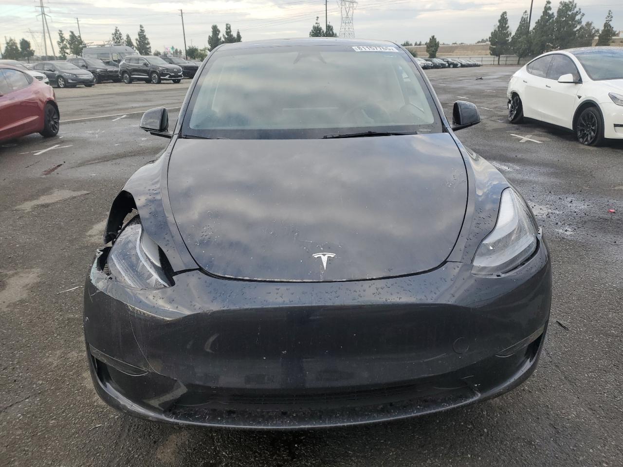 2025 TESLA MODEL Y