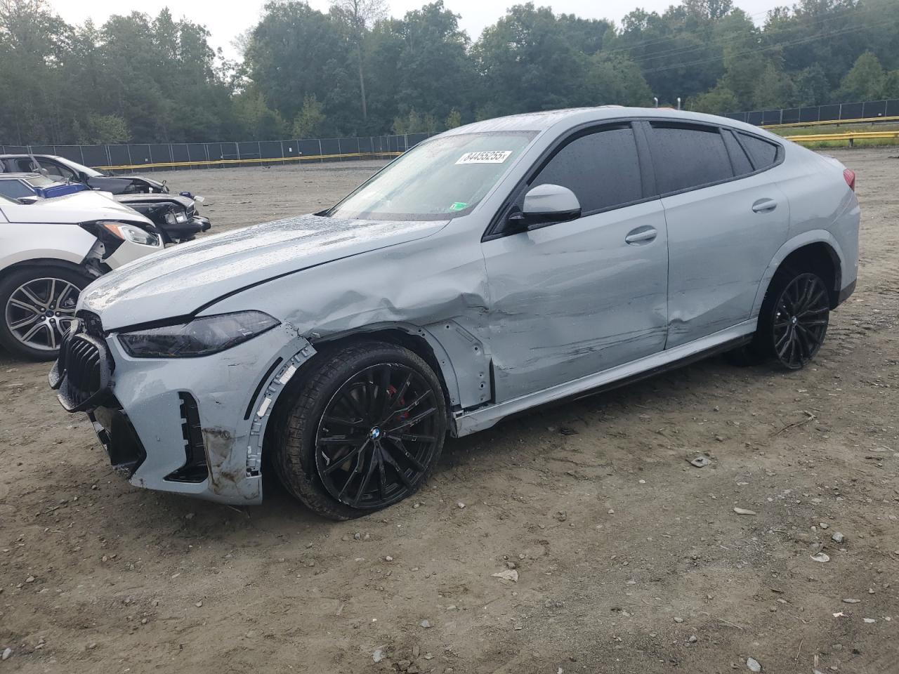 2025 BMW X6