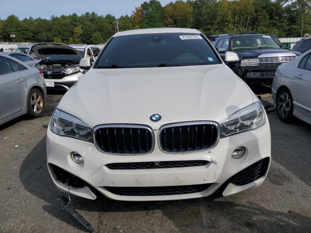 2019 BMW X6