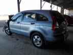 2010 HONDA CR-V