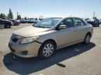 2009 TOYOTA COROLLA