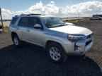 2023 TOYOTA 4Runner