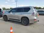 2021 LEXUS GX 460