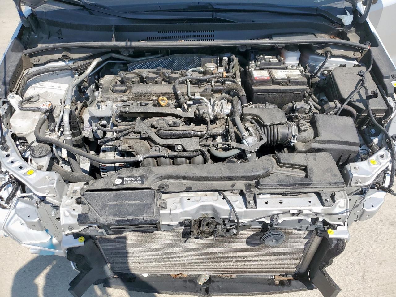 2023 TOYOTA COROLLA
