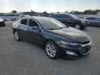 2019 CHEVROLET MALIBU