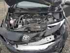 2025 TOYOTA PRIUS
