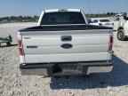 2009 FORD F-150