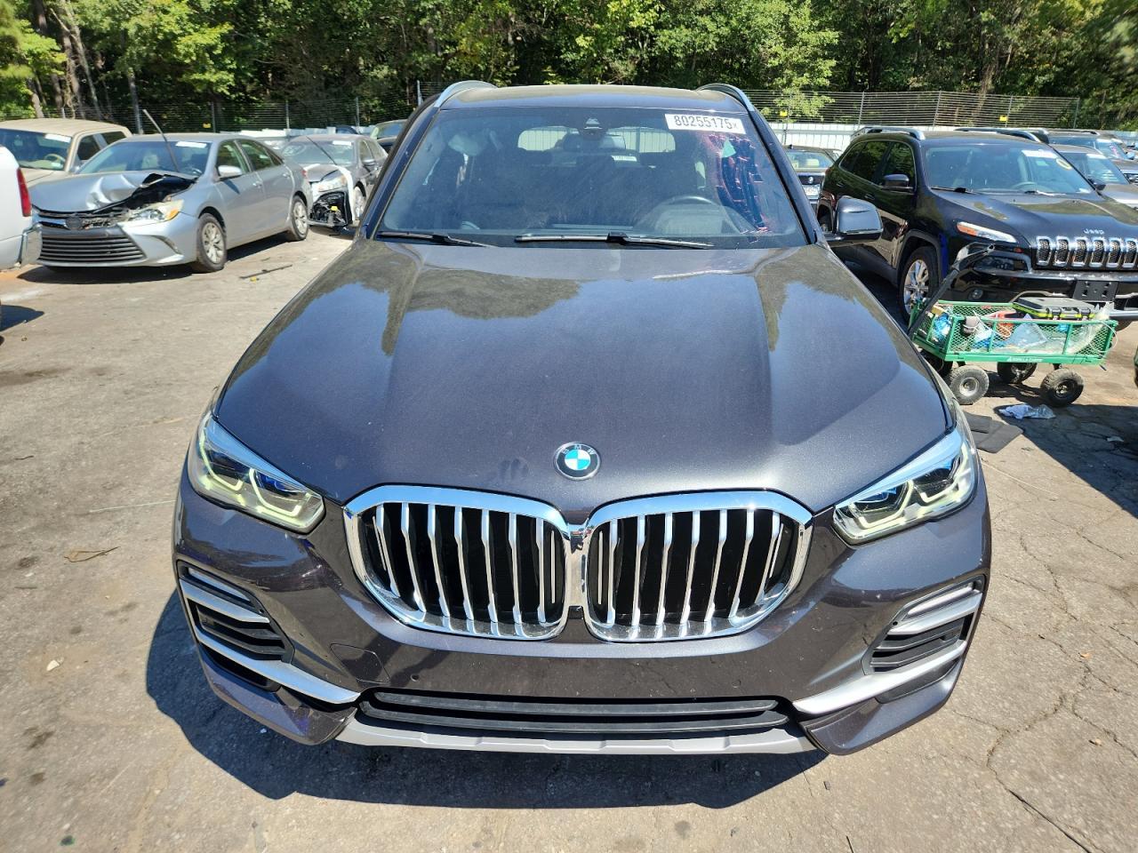 2019 BMW X5