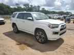 2023 TOYOTA 4Runner