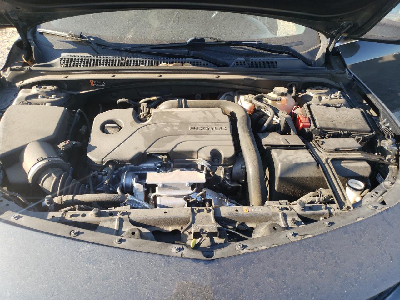 2019 CHEVROLET MALIBU