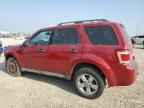 2009 FORD ESCAPE