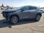2025 LEXUS Nx