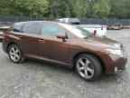 2009 TOYOTA VENZA