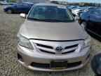 2011 TOYOTA COROLLA