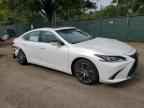 2023 LEXUS Es