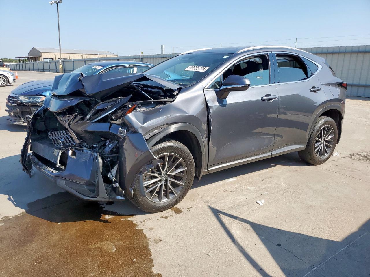 2024 LEXUS Nx