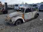 1971 VOLKSWAGEN Beetle