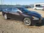 2010 NISSAN Maxima
