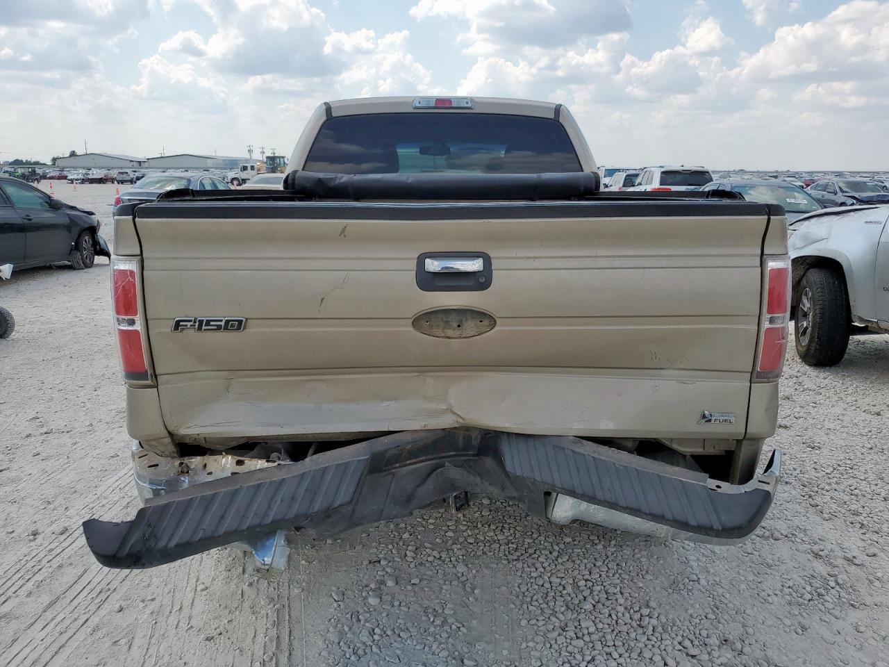 2010 FORD F-150