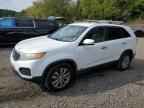 2011 KIA SORENTO
