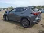 2025 LEXUS Nx