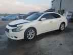 2014 NISSAN Maxima