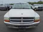 2001 DODGE Dakota