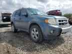 2010 FORD ESCAPE