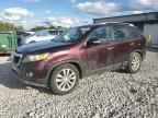 2011 KIA SORENTO