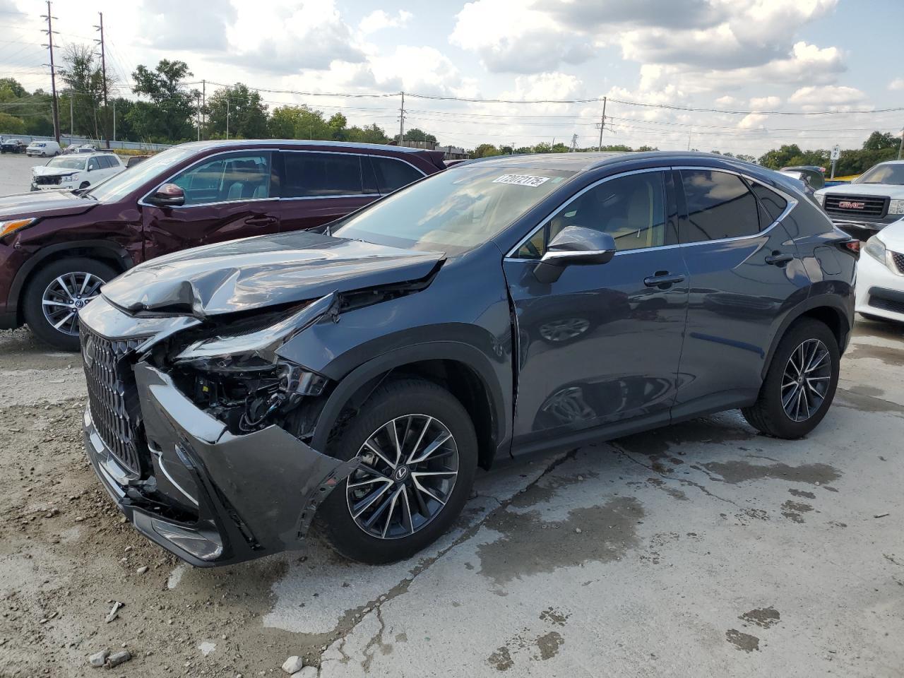 2024 LEXUS Nx
