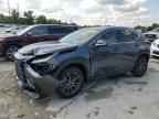 2024 LEXUS Nx