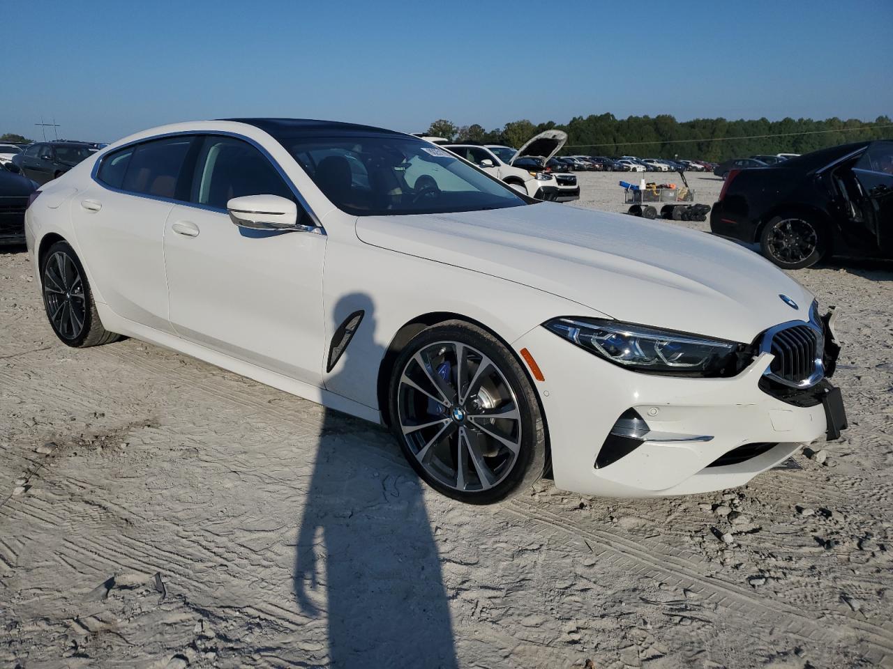 2020 BMW 8 Series