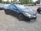 2009 NISSAN ALTIMA