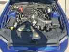 2013 FORD MUSTANG