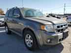 2010 FORD ESCAPE