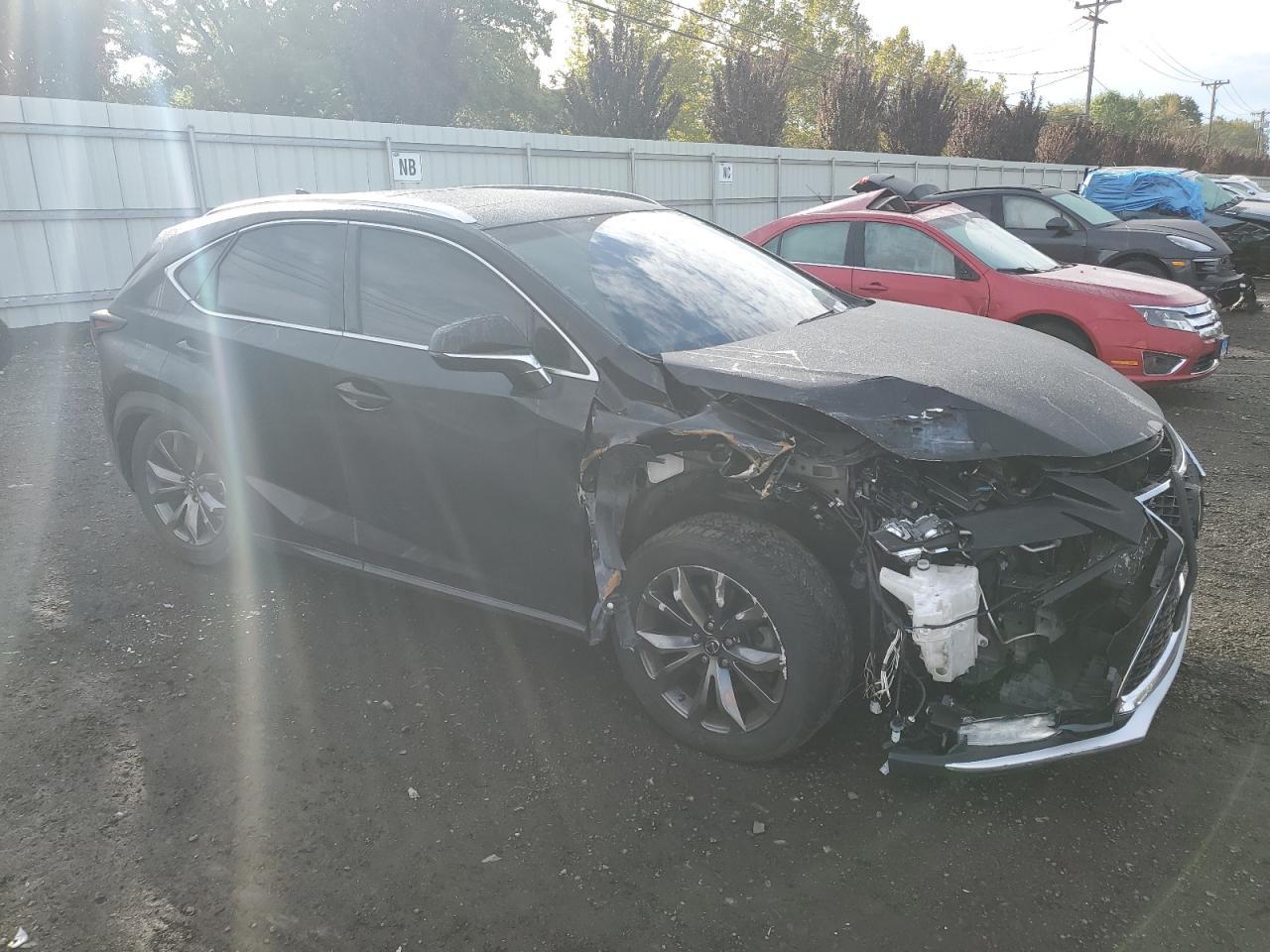 2019 LEXUS Nx