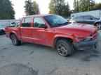 2003 DODGE Dakota
