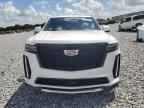 2024 CADILLAC ESCALADE