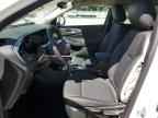 2025 BUICK Encore GX