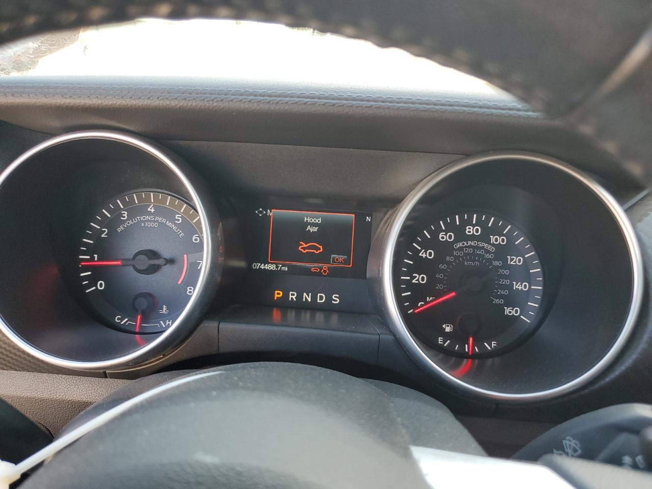 2019 FORD MUSTANG