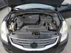 2010 NISSAN ALTIMA