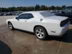 2013 DODGE Challenger