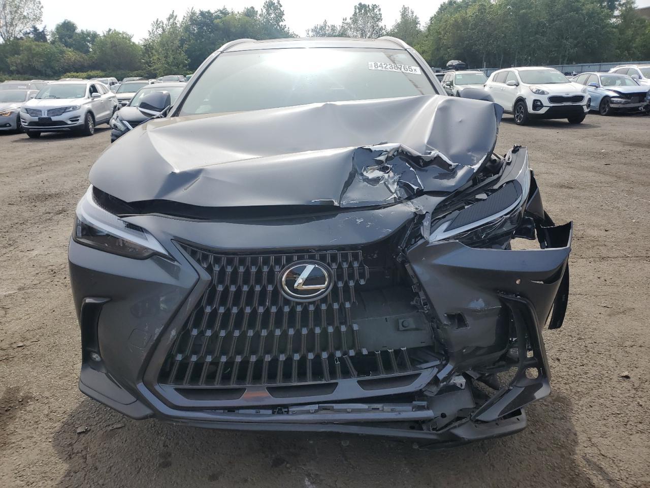 2025 LEXUS Nx