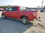 2009 FORD F-150
