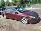 2009 HONDA ACCORD