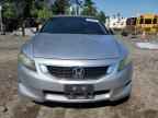 2010 HONDA ACCORD