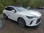 2024 LEXUS Rx