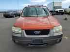 2006 FORD ESCAPE