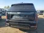2025 CADILLAC ESCALADE